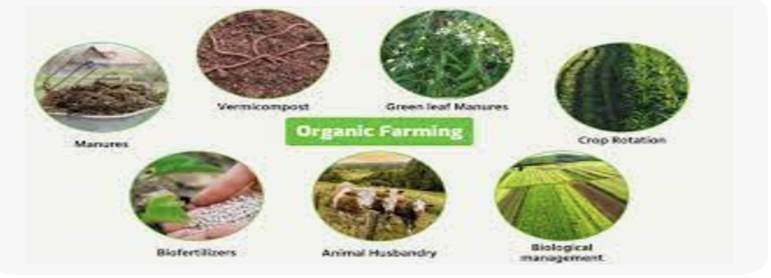 How to Start a Organic Farming Operation Now?