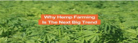 Hemp Farming | Libra Small Business Builders