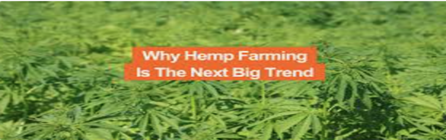 How to Start Hemp Farming and Production?