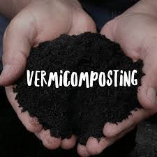 Vermicomposting Farming | How to start this?