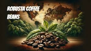 How to Start a Coffee Farming Operation
