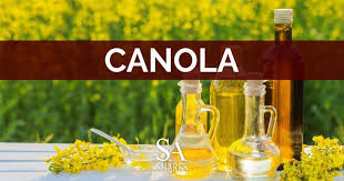 How can I start a Canola Farming Successfully Now?