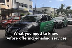 How to start a sustainable E-Hailing small business now?